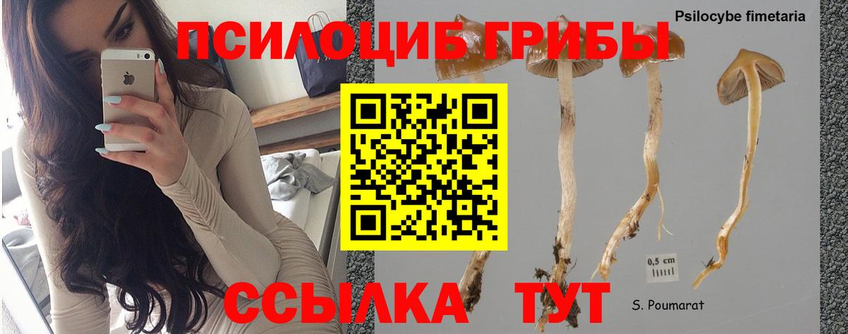 Мелеуз  Галлюциногенные грибы Cubensis  Галлюциногенные грибы прущие грибы  Вход с VPN 